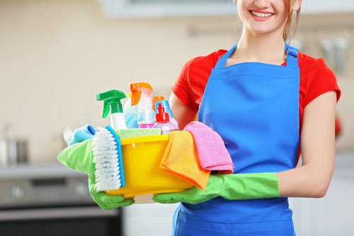 Careful stain removal service for mattresses and soft furnishings in Ealing