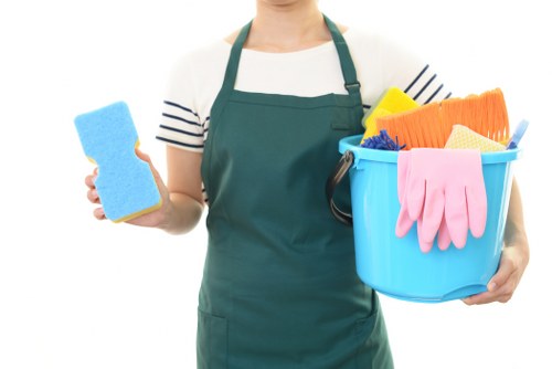 Cleaner Ealing secure payment interface with protected checkout icons