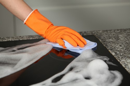Steam carpet cleaning equipment used in an Ealing home