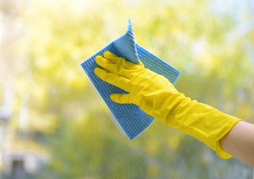 Hot water extraction cleaning for carpets in Ealing
