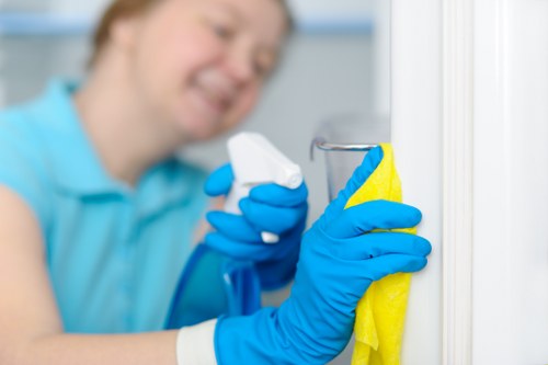 Professional one off cleaning service for Ealing homes and flats