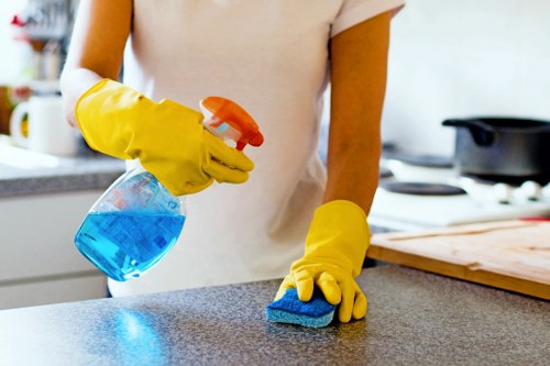 Professional house cleaning in an Ealing family home