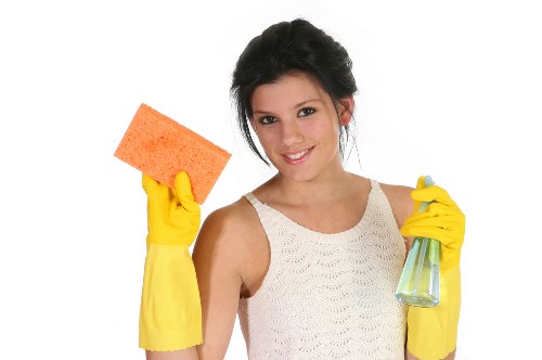 Professional carpet deep cleaning in a local Ealing property