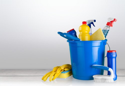 Cleaning treatment for persistent pet stains in a family property
