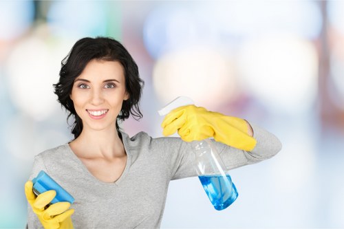 Local cleaners handling a one-time clean in Ealing