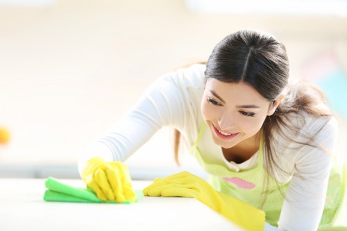 Local cleaner servicing an Ealing apartment