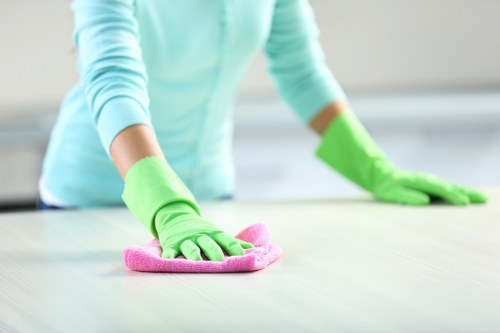 Move-in cleaning for a modern apartment in Ealing Broadway