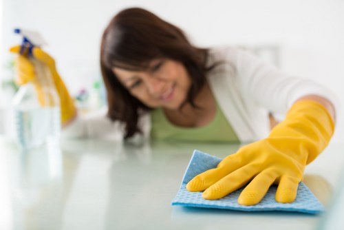 Regular home cleaning for a residential property in Ealing