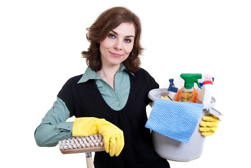 Local stain cleaning process for a sofa and rug in Ealing