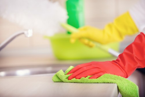 Professional window cleaning for local homes and shops